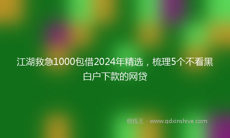 江湖救急1000包借2024年精选，梳理5个不看黑白户下款的网贷