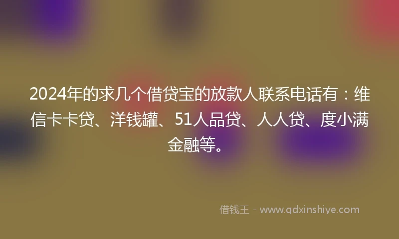 2024年的求几个借贷宝的放款人联系电话有：维信卡卡贷、洋钱罐、51人品贷、人人贷、度小满金融等。