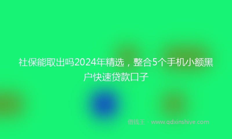 社保能取出吗2024年精选，整合5个手机小额黑户快速贷款口子