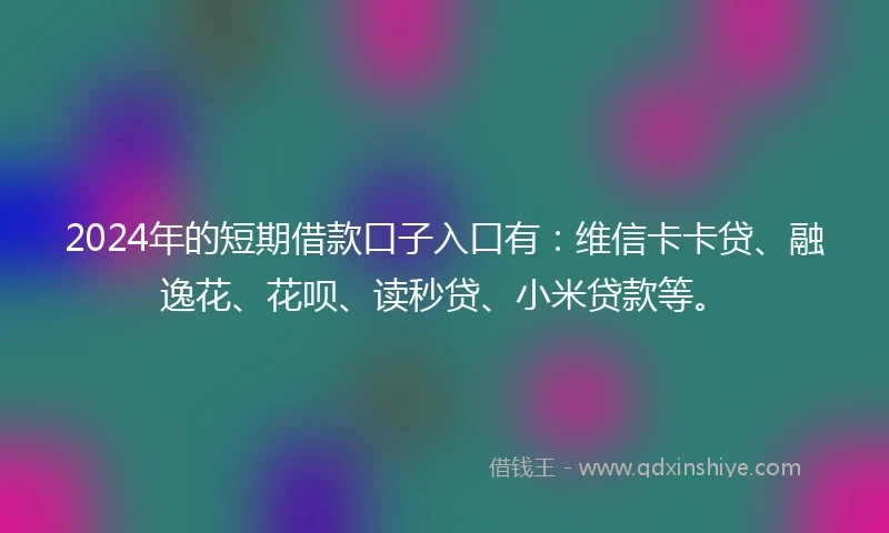 2024年的短期借款口子入口有：维信卡卡贷、融逸花、花呗、读秒贷、小米贷款等。