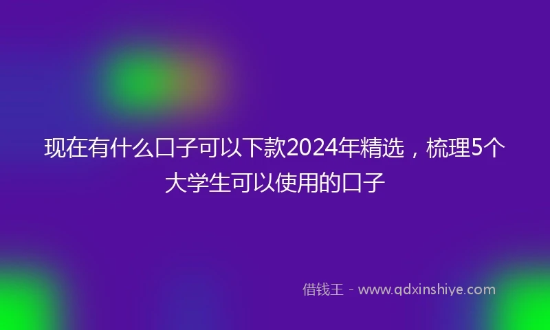 现在有什么口子可以下款2024年精选，梳理5个大学生可以使用的口子