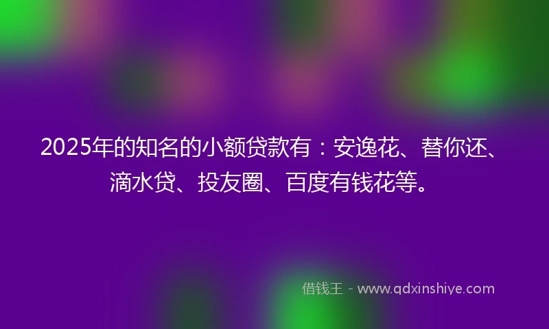 2025年的知名的小额贷款有：安逸花、替你还、滴水贷、投友圈、百度有钱花等。