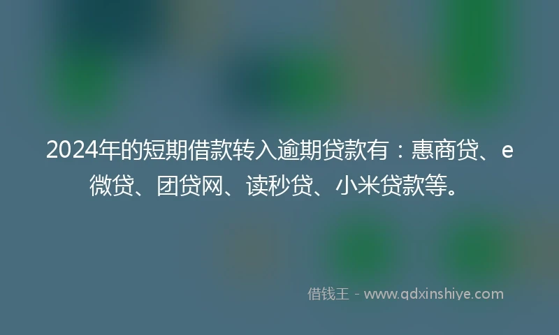 2024年的短期借款转入逾期贷款有:惠商贷、e微贷、团贷网、读秒贷、小米贷款等。
