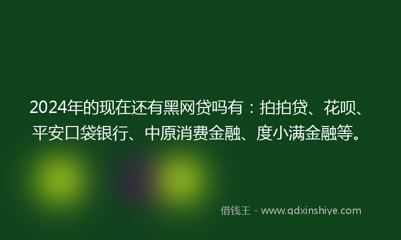 2024年的现在还有黑网贷吗有：拍拍贷、花呗、平安口袋银行、中原消费金融、度小满金融等。