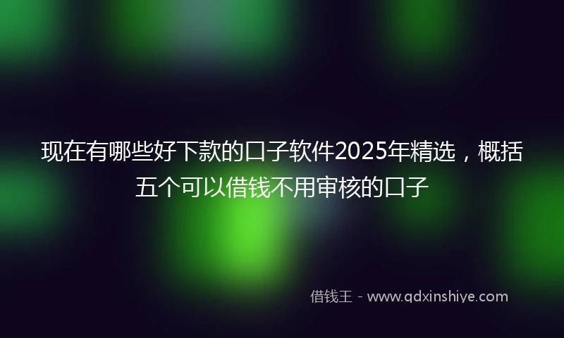 现在有哪些好下款的口子软件2025年精选，概括五个可以借钱不用审核的口子