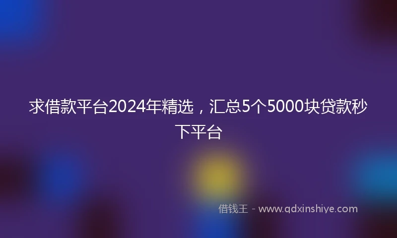 求借款平台2024年精选，汇总5个5000块贷款秒下平台