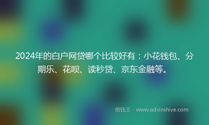 2024年的白户网贷哪个比较好有：小花钱包、分期乐、花呗、读秒贷、京东金融等。