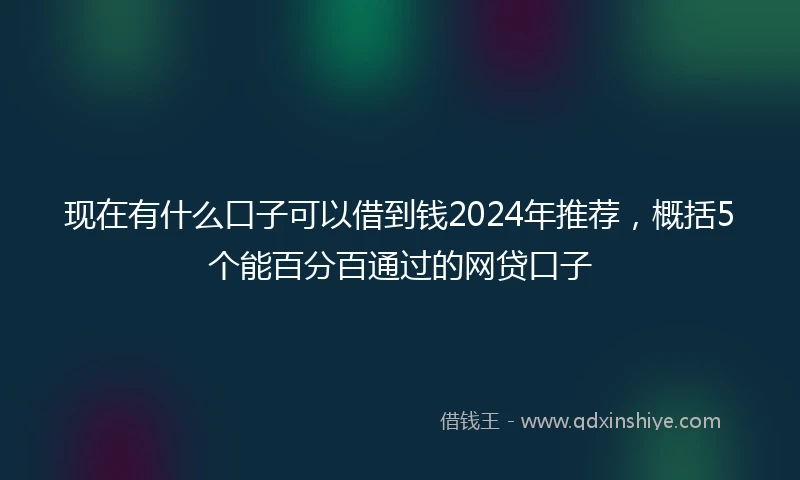 现在有什么口子可以借到钱2024年推荐，概括5个能百分百通过的网贷口子