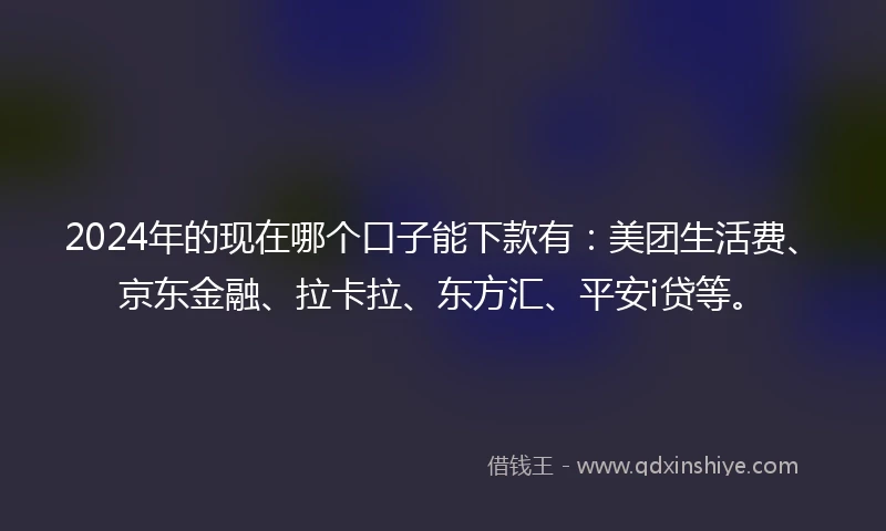 2024年的现在哪个口子能下款有：美团生活费、京东金融、拉卡拉、东方汇、平安i贷等。