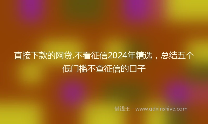 直接下款的网贷,不看征信2024年精选，总结五个低门槛不查征信的口子