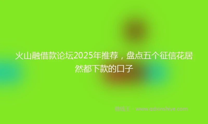 火山融借款论坛2025年推荐，盘点五个征信花居然都下款的口子