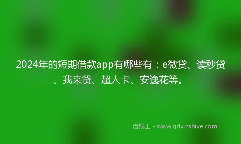 2024年的短期借款app有哪些有：e微贷、读秒贷、我来贷、超人卡、安逸花等。