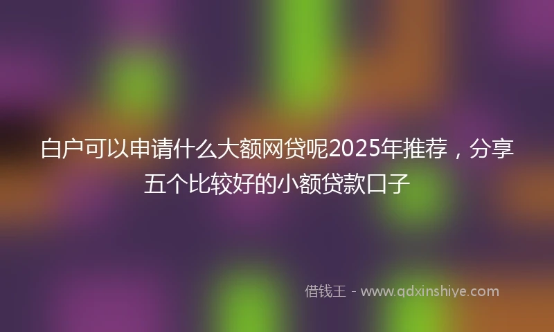 白户可以申请什么大额网贷呢2025年推荐，分享五个比较好的小额贷款口子