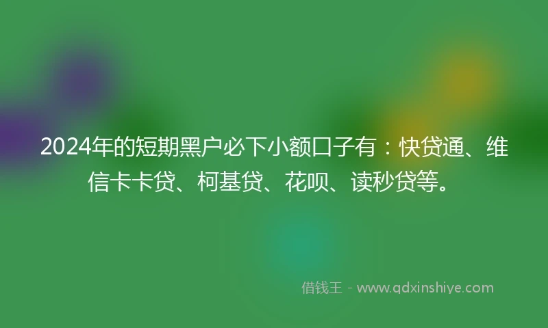 2024年的短期黑户必下小额口子有：快贷通、维信卡卡贷、柯基贷、花呗、读秒贷等。