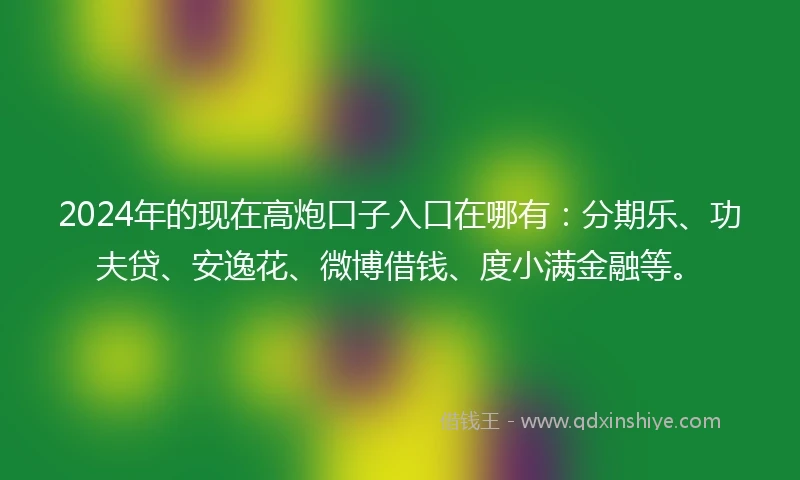 2024年的现在高炮口子入口在哪有：分期乐、功夫贷、安逸花、微博借钱、度小满金融等。