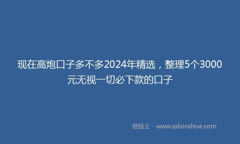 现在高炮口子多不多2024年精选，整理5个3000元无视一切必下款的口子