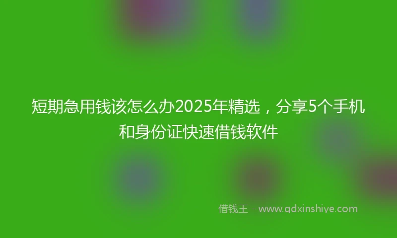 短期急用钱该怎么办2025年精选，分享5个手机和身份证快速借钱软件