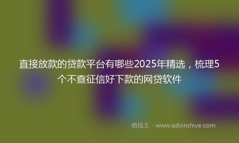 直接放款的贷款平台有哪些2025年精选，梳理5个不查征信好下款的网贷软件