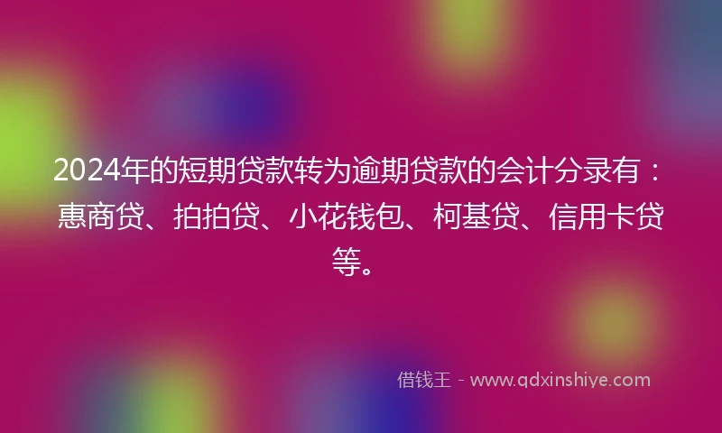 2024年的短期贷款转为逾期贷款的会计分录有：惠商贷、拍拍贷、小花钱包、柯基贷、信用卡贷等。