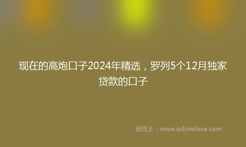 现在的高炮口子2024年精选，罗列5个12月独家贷款的口子
