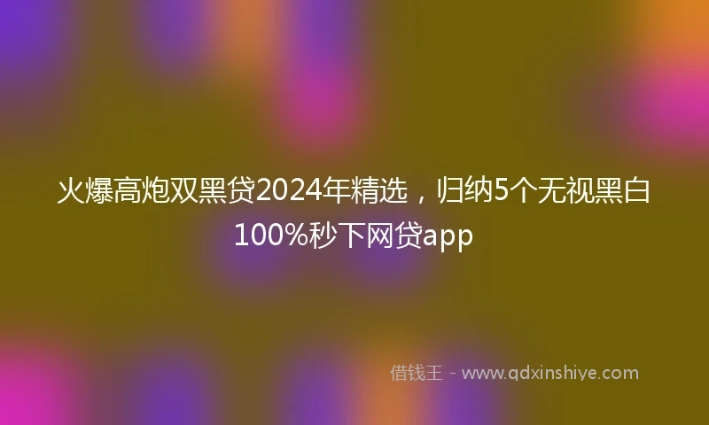 火爆高炮双黑贷2024年精选，归纳5个无视黑白100%秒下网贷app