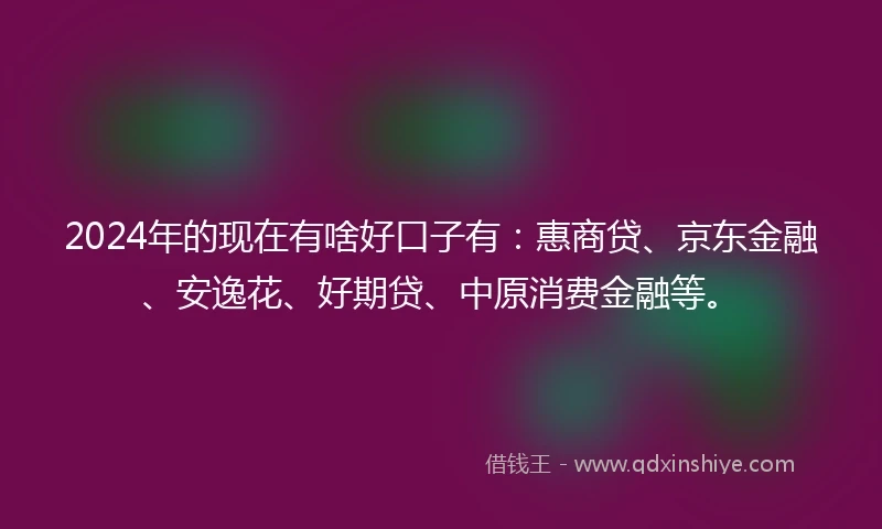 2024年的现在有啥好口子有：惠商贷、京东金融、安逸花、好期贷、中原消费金融等。
