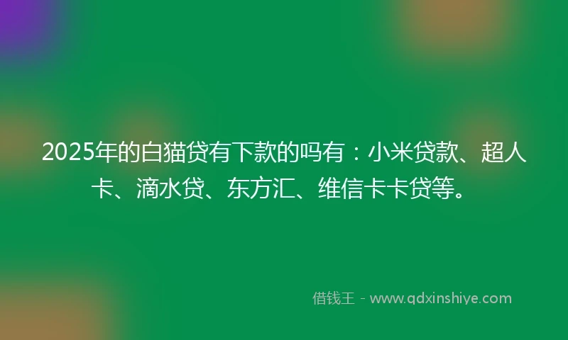 2025年的白猫贷有下款的吗有：小米贷款、超人卡、滴水贷、东方汇、维信卡卡贷等。