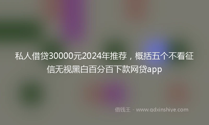 私人借贷30000元2024年推荐，概括五个不看征信无视黑白百分百下款网贷app