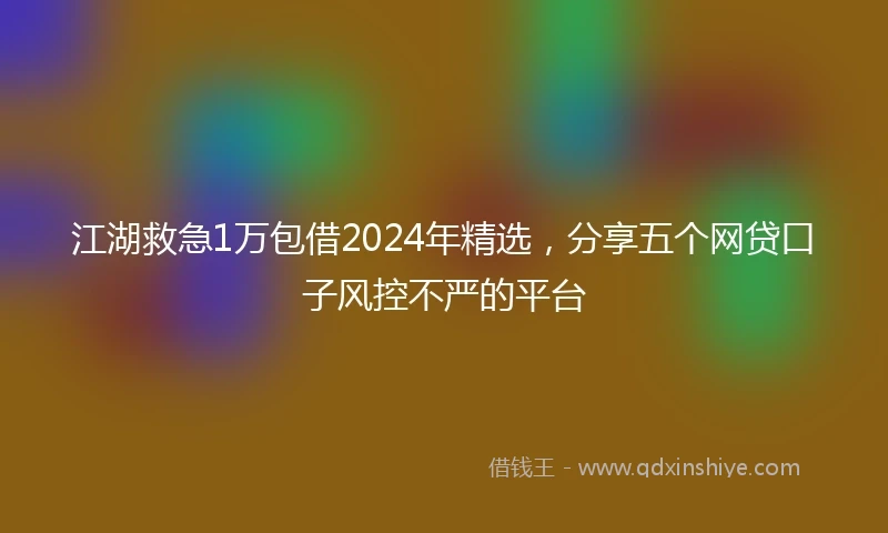 江湖救急1万包借2024年精选，分享五个网贷口子风控不严的平台