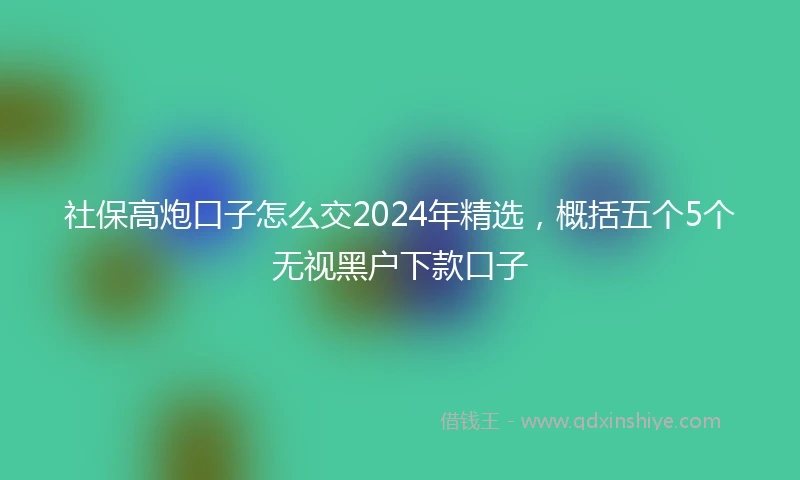 社保高炮口子怎么交2024年精选，概括五个5个无视黑户下款口子