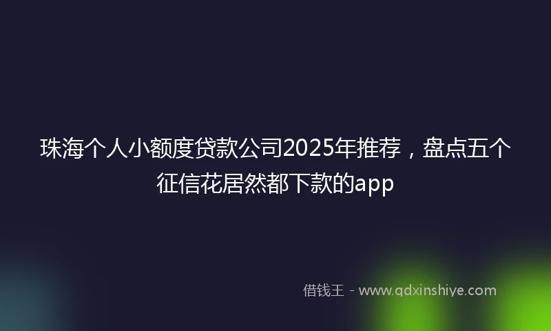珠海个人小额度贷款公司2025年推荐，盘点五个征信花居然都下款的app