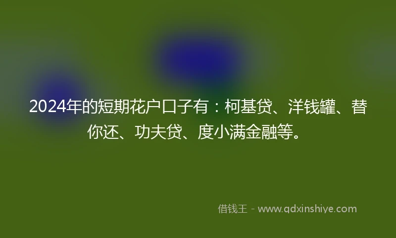 2024年的短期花户口子有：柯基贷、洋钱罐、替你还、功夫贷、度小满金融等。