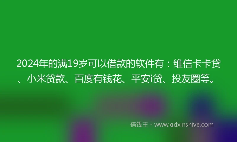 2024年的满19岁可以借款的软件有：维信卡卡贷、小米贷款、百度有钱花、平安i贷、投友圈等。