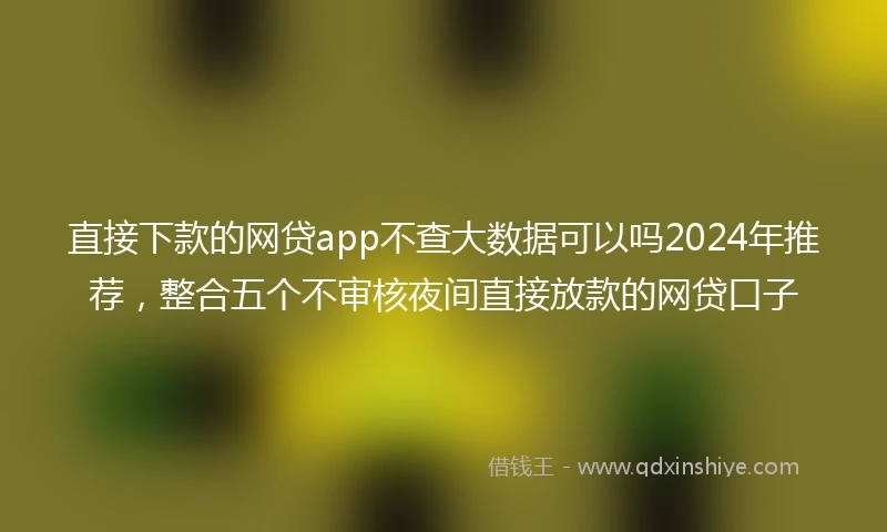 直接下款的网贷app不查大数据可以吗2024年推荐，整合五个不审核夜间直接放款的网贷口子