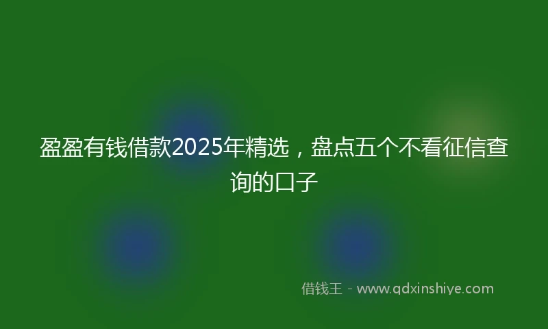 盈盈有钱借款2025年精选，盘点五个不看征信查询的口子