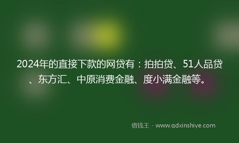 2024年的直接下款的网贷有：拍拍贷、51人品贷、东方汇、中原消费金融、度小满金融等。