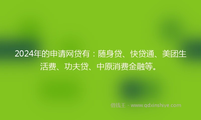 2024年的申请网贷有：随身贷、快贷通、美团生活费、功夫贷、中原消费金融等。