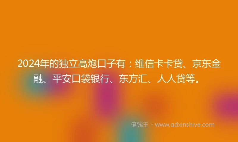 2024年的独立高炮口子有：维信卡卡贷、京东金融、平安口袋银行、东方汇、人人贷等。