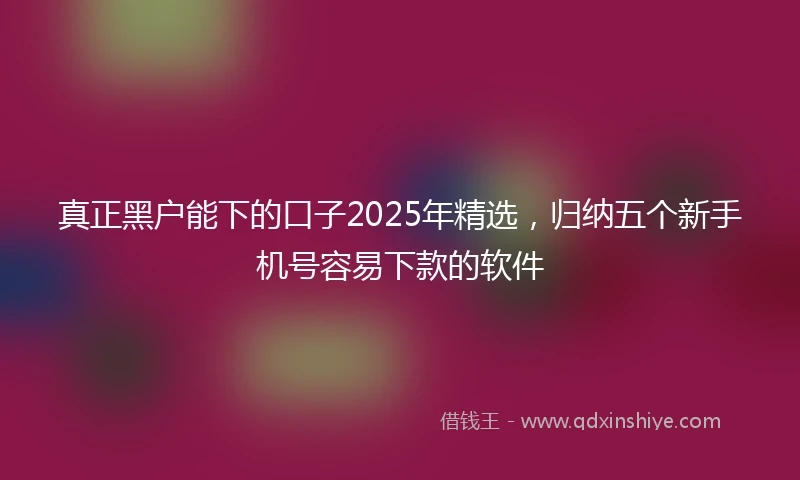 真正黑户能下的口子2025年精选，归纳五个新手机号容易下款的软件