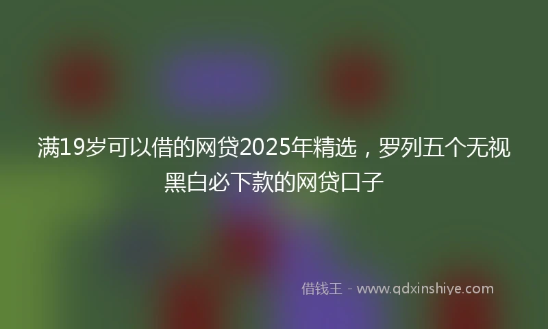 满19岁可以借的网贷2025年精选，罗列五个无视黑白必下款的网贷口子