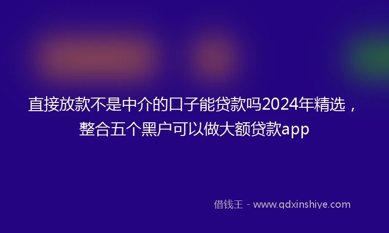 直接放款不是中介的口子能贷款吗2024年精选，整合五个黑户可以做大额贷款app