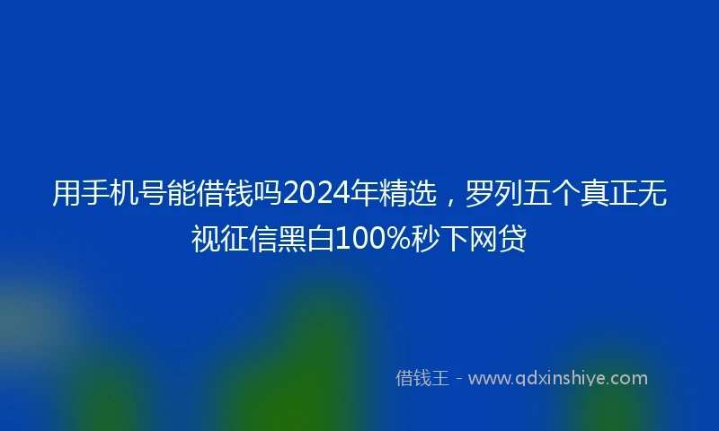 用手机号能借钱吗2024年精选，罗列五个真正无视征信黑白100%秒下网贷