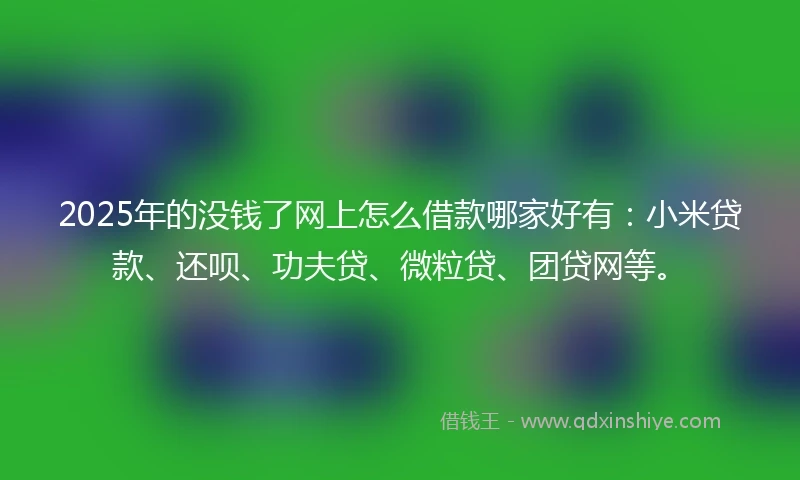 2025年的没钱了网上怎么借款哪家好有：小米贷款、还呗、功夫贷、微粒贷、团贷网等。