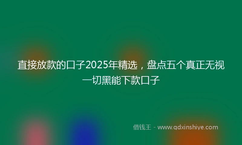 直接放款的口子2025年精选，盘点五个真正无视一切黑能下款口子