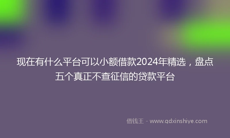 现在有什么平台可以小额借款2024年精选，盘点五个真正不查征信的贷款平台