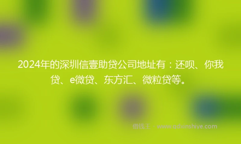 2024年的深圳信壹助贷公司地址有：还呗、你我贷、e微贷、东方汇、微粒贷等。