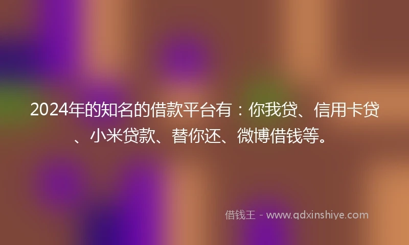 2024年的知名的借款平台有：你我贷、信用卡贷、小米贷款、替你还、微博借钱等。