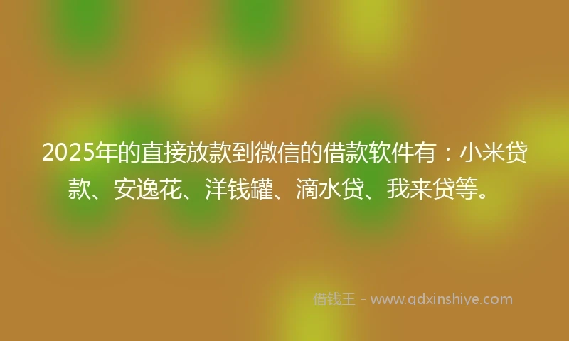 2025年的直接放款到微信的借款软件有：小米贷款、安逸花、洋钱罐、滴水贷、我来贷等。