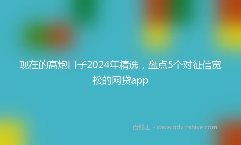 现在的高炮口子2024年精选，盘点5个对征信宽松的网贷app