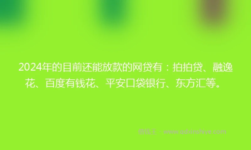 2024年的目前还能放款的网贷有：拍拍贷、融逸花、百度有钱花、平安口袋银行、东方汇等。